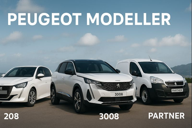 Kurtuluş Otomotiv: Peugeot Yedek Parça ve Bakım Rehberi