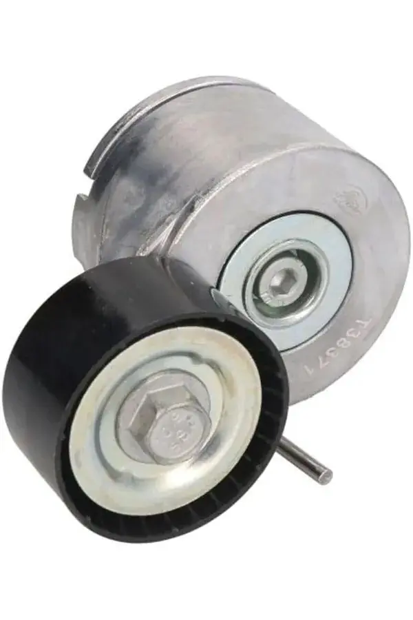 Peugeot 206 ALTERNATÖR GERGİ RULMANI - FASE | 5751.89