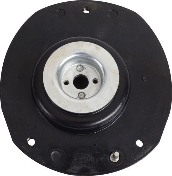 Citroen C6 AMORTİSÖR TAKOZU ORJİNA . ORJİNAL | 5038.40