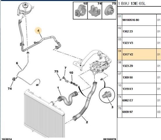 DS DS4 Yedek Su Deposu Hortumu | 1317.V2