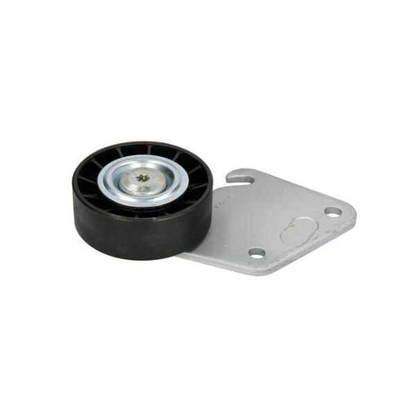 Peugeot 306 GERGİ RULMANI - 2,0 İ .34 DAYCO | APV1010